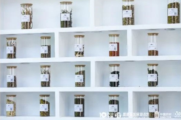 365电子游戏中药材 365电子游戏中药材