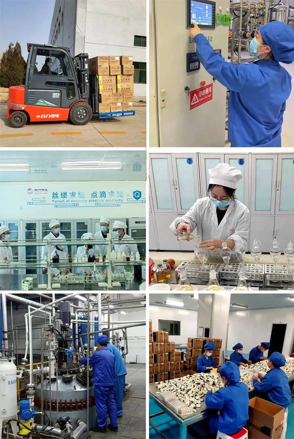 365电子游戏泰盛 365电子游戏泰盛