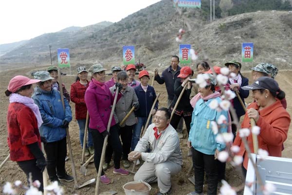 365电子游戏中药材种植基地 365电子游戏中药材种植基地