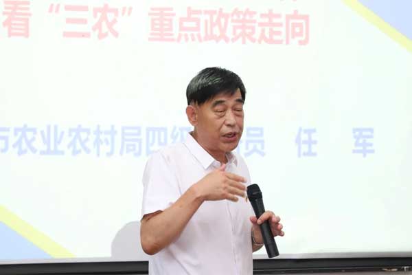365电子游戏