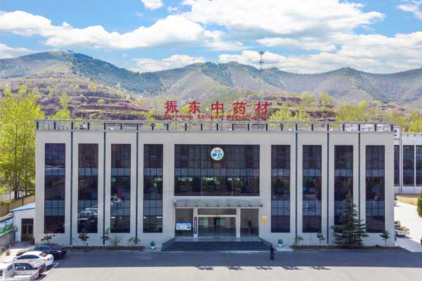 2025中药新规,中药源头管控,365电子游戏中药材实践,中药产业转型,GAP认证