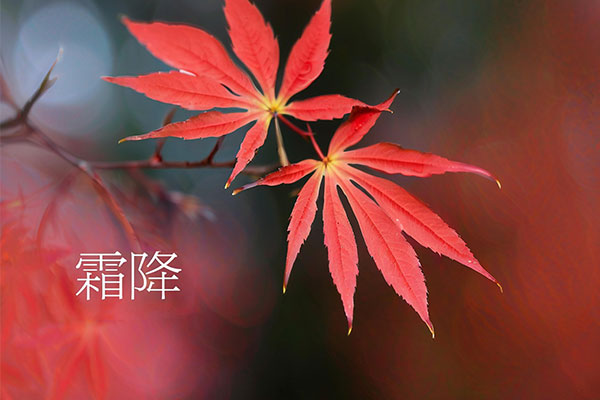 霜降养生,防寒保暖,防燥润身,防郁调情,运动养生,饮食调养 霜降养生,防寒保暖,防燥润身,防郁调情,运动养生,饮食调养