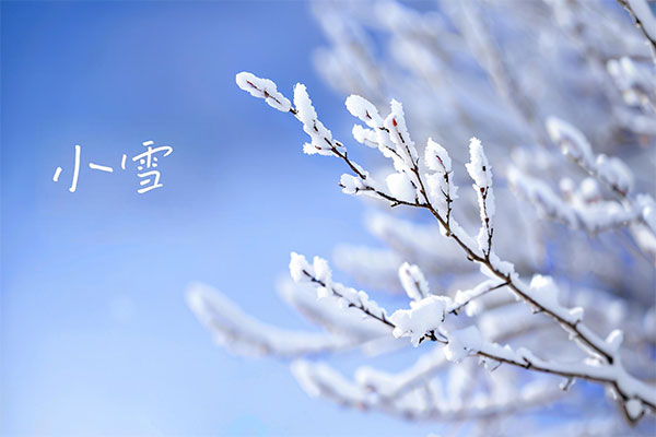 小雪养生,起居养生,饮食养生,运动养生,情志养生,疾病预防,365电子游戏
