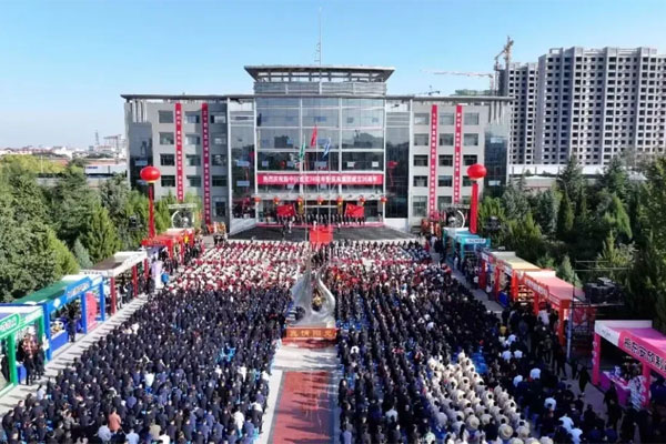 365电子游戏,爱国情怀,产业报国,中医药国际化,爱国活动