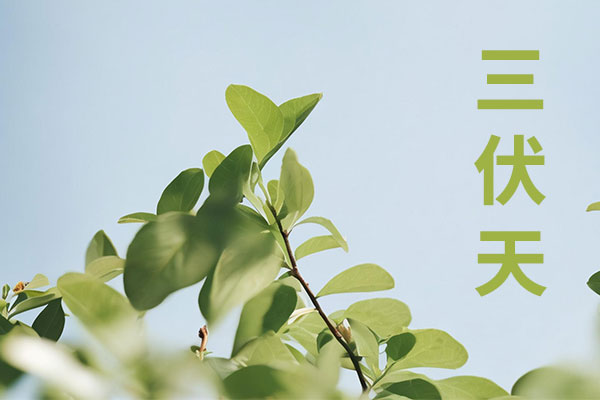中国·365电子游戏(股份)有限公司-官方网站